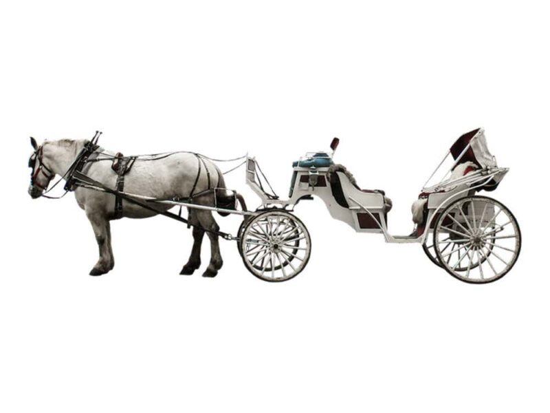 Balade en calèche